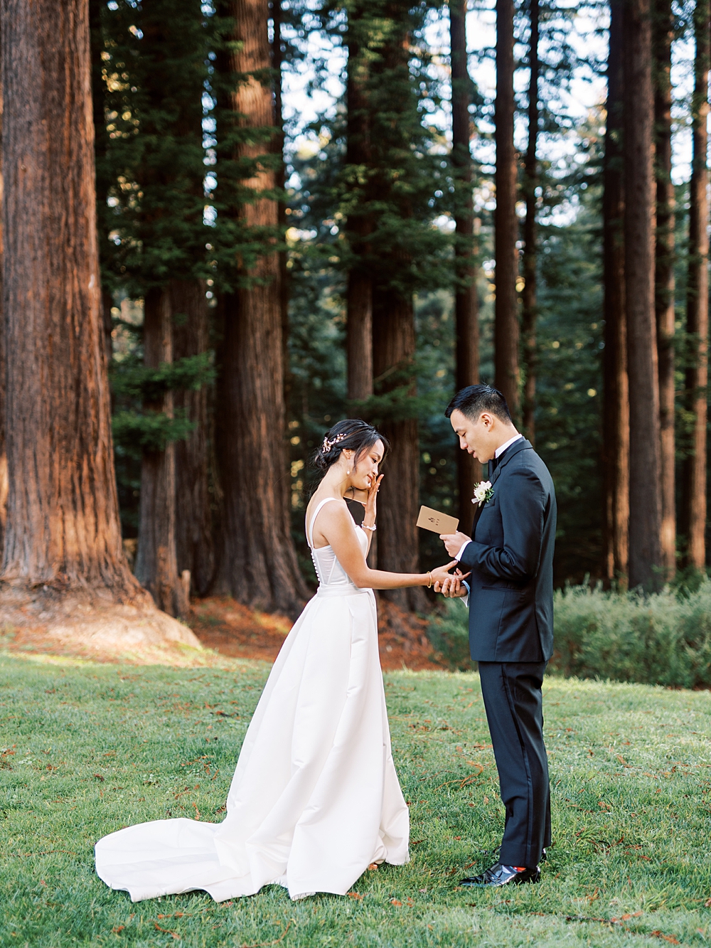 Morning Wedding in the California Redwoods